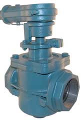 Zoeller Heavy Duty Cast Iron Check & Plug Valves