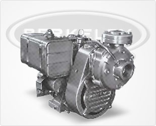 Berkeley High-Pressure Air-Cooled Gas Engine Drive Series