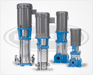 Berkeley BVM(I/X)2 Vertical Multi-Stage Pumps