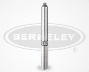 Berkeley MGS Series Stainless Steel 4 Inch Submersible Pump