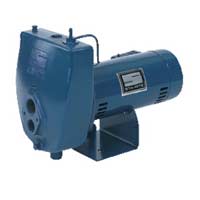 Berkeley 10 HL - 1 HP Deep Well Series Jet Pump 