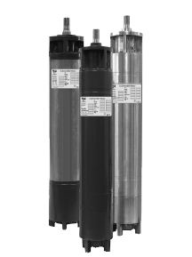 Goulds CentriPro 6 In. Three Phase Motors 8M1004
