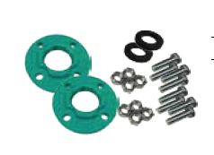 Wilo 2 in. FNPT Flange Kit