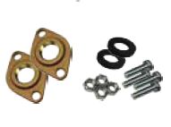 Wilo 1 in. FNPT Flange Kit